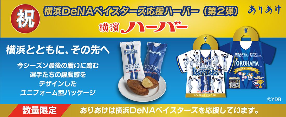 横浜DeNAベイスターズ応援ハーバー（第２弾）